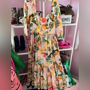 Cara Cara blue hill dress pink fruit size 8